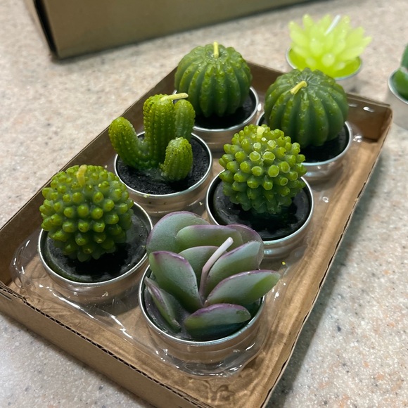Miniature Candles 🌵 Set of 7 Miniature Succulent Candles - Picture 2 of 5